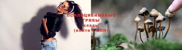 a pvp Абинск