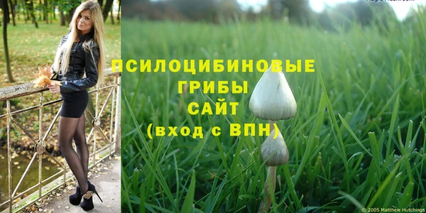 мдпв Алексин