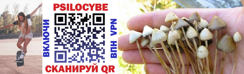 Галлюциногенные грибы Cubensis  KRAKEN ссылки  Кингисепп 