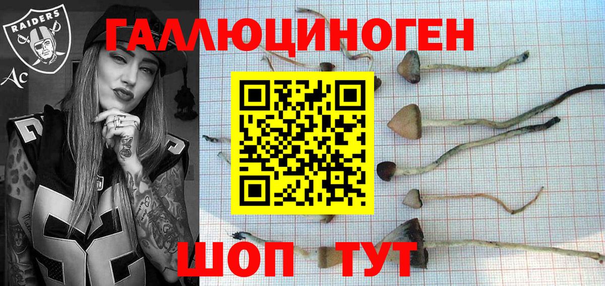 Псилоцибиновые грибы MAGIC MUSHROOMS Кингисепп