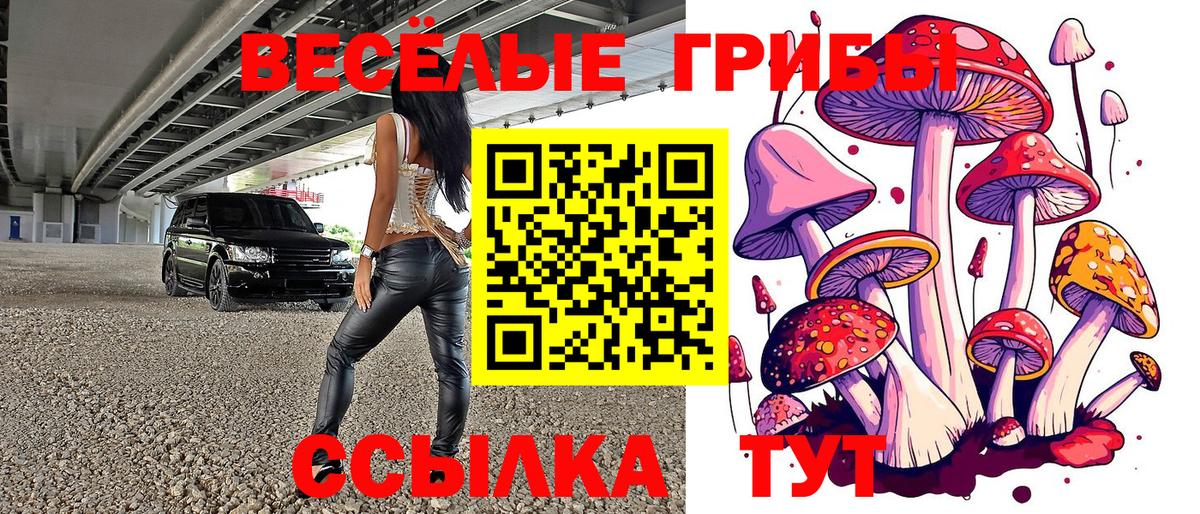 Псилоцибиновые грибы ЛСД  Вход с VPN  где купить наркотик  Кингисепп 